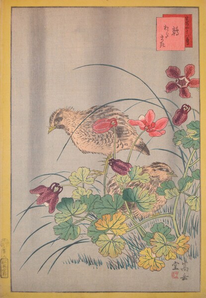 Quails and Odamaki by Sugakudo, Woodblock Print