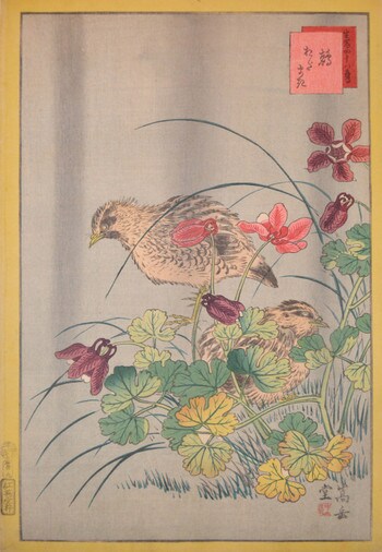 Quails and Odamaki by Sugakudo, Woodblock Print