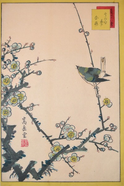 Bush Warbler and White Plum Blossoms by Sugakudo, Woodblock Print
