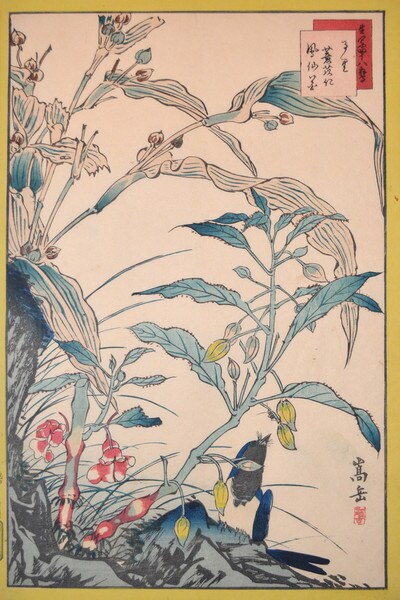 Ruri Bird and Reeds by Sugakudo, Woodblock Print