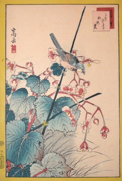Redflanked Bluetail and Begonia by Sugakudo, Woodblock Print