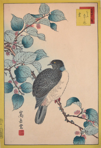 Dove on Mulberry Branch by Sugakudo, Woodblock Print