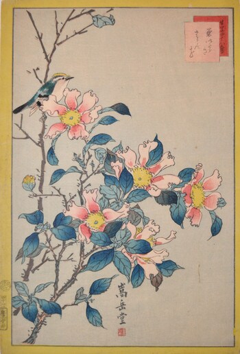 Kikuitadaki and Sazanka Flower by Sugakudo, Woodblock Print