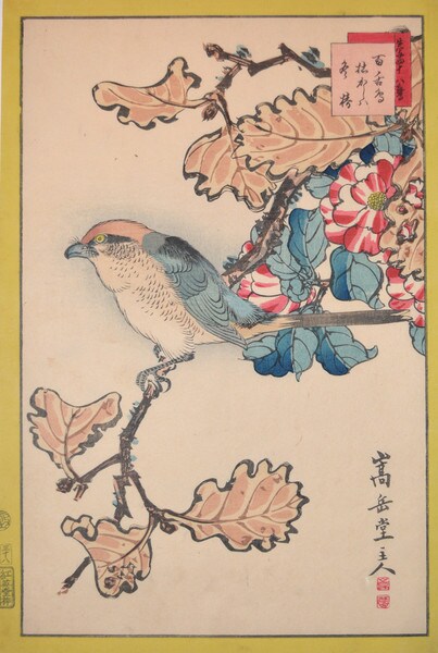 Bull Headed Shrike and Winter Camelia by Sugakudo, Woodblock Print