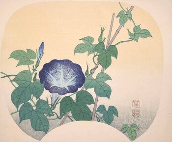 Morning Glory by Shoson, Woodblock Print