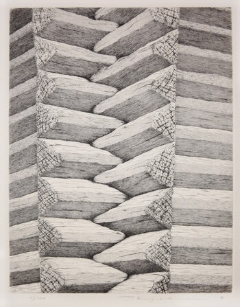 Azekura by Tanaka, Ryohei, Etching