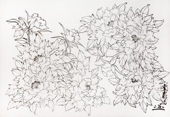 Botan Chirashi (Scattered Peonies) by Horiyoshi III, Drawing