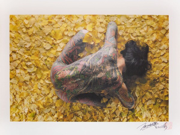 Ha (leaves) by Sudo, Masato, Photography