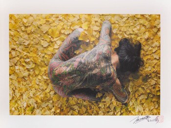 Ha (leaves) by Sudo, Masato, Photography
